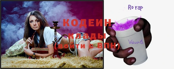 хмурый Инта