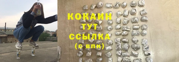 хмурый Инта