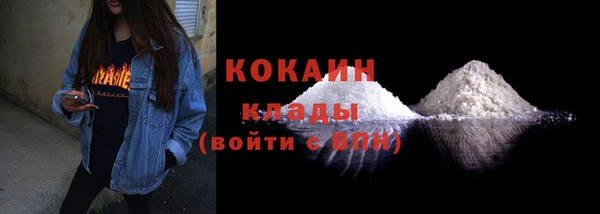 хмурый Инта