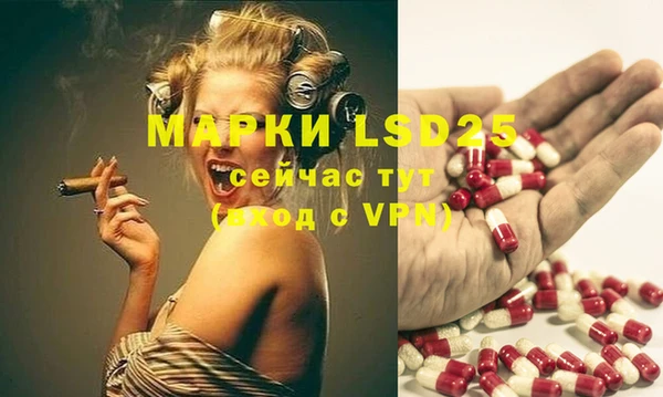 хмурый Инта