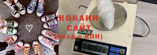 хмурый Инта