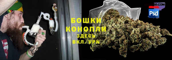 хмурый Инта