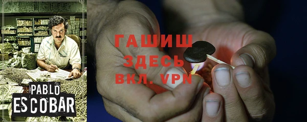 хмурый Инта