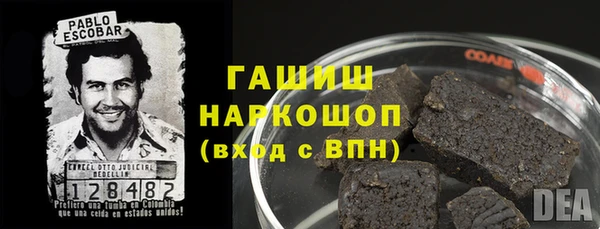 хмурый Инта
