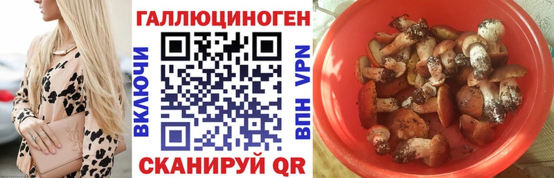 Галлюциногенные грибы Magic Shrooms  Купить где  Кинешма 